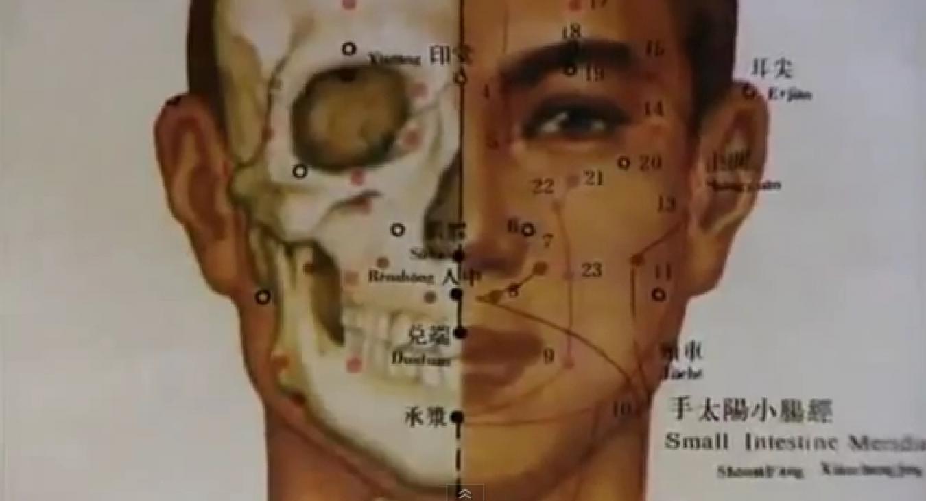Screenshot Documentary: The Science of Acupuncture