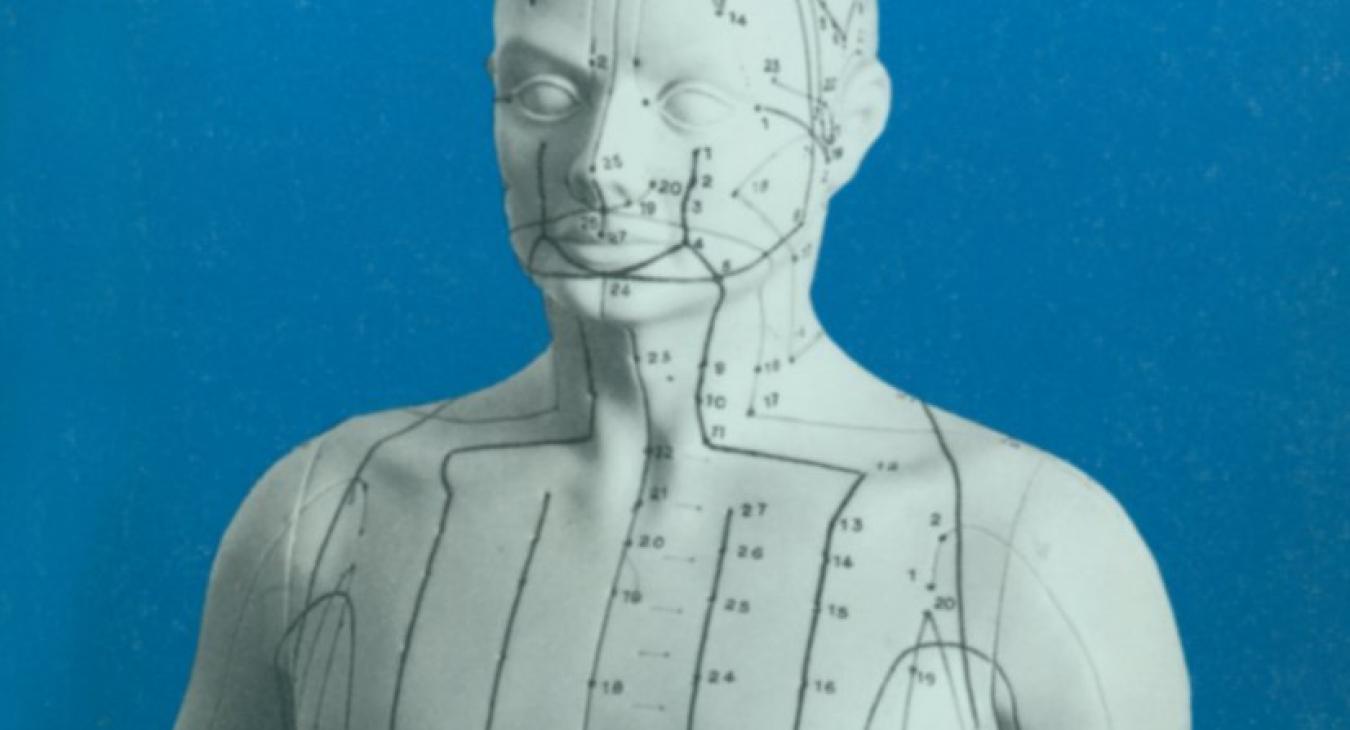 Gabriel Stux: Basics of Acupuncture